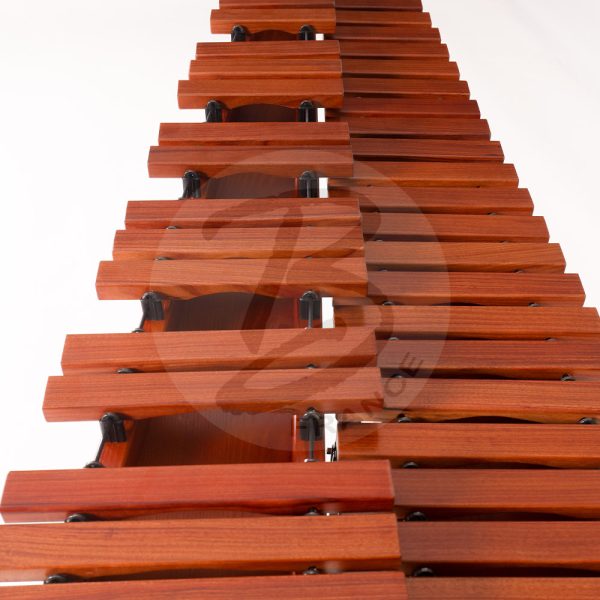 Bergerault 4 oct. Table Top Performer xylophone - African rosewood bars - Image 2