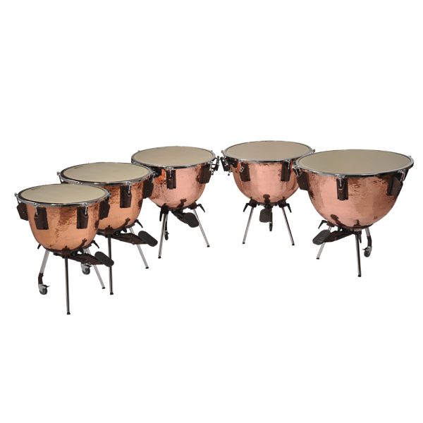 bergeraultTimbales Voyager